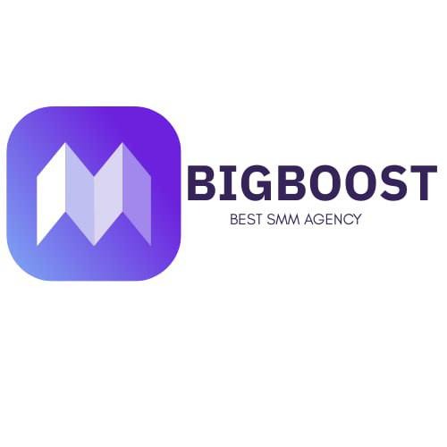 BigBoost Product Preview